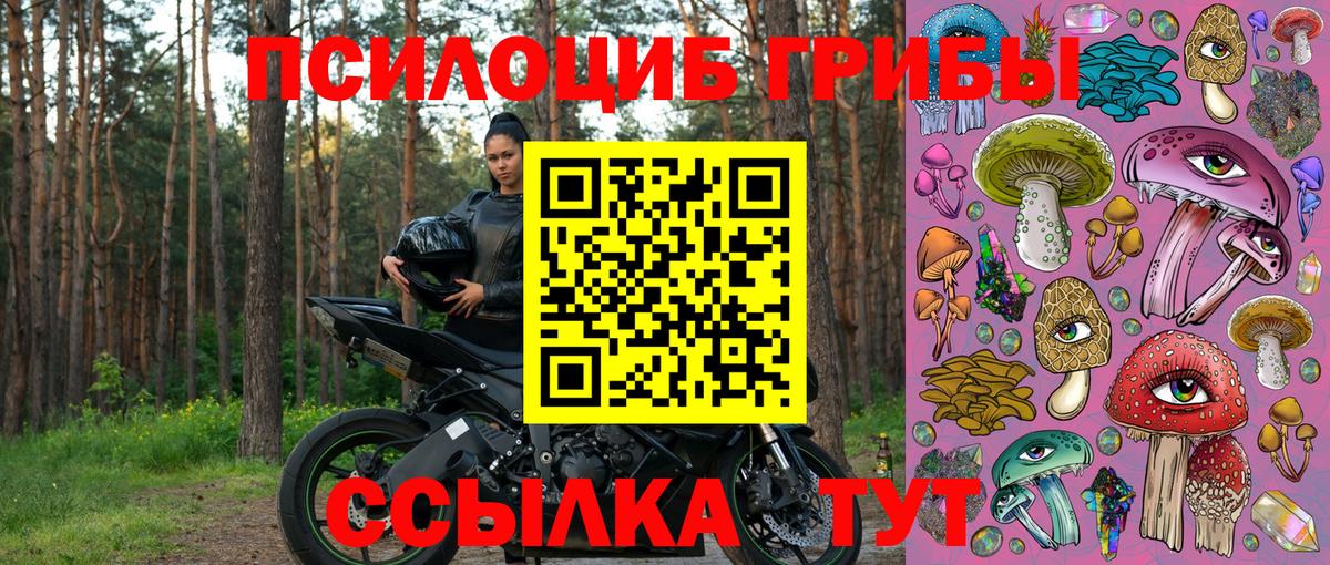 Галлюциногенные грибы Cubensis Йошкар-Ола
